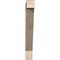 Ekena Millwork Traditional Block Smooth Bracket, Douglas Fir, 3 1/2"W x 24"D x 28"H BKT04X24X28TRA05SDF - alternate 2